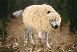 WOLF-IN-SHEEP-S-CLOTHING2.JPG